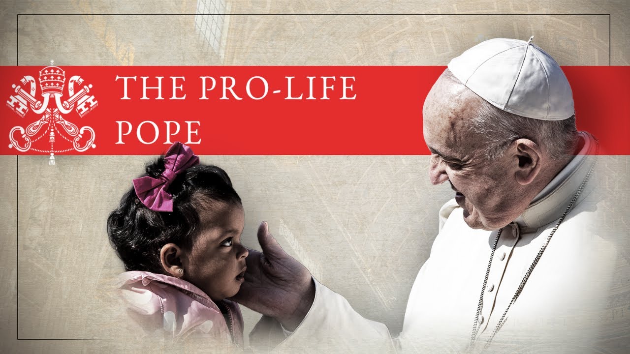 Pope Francis: Pro-Life Statements Against Abortion, Surrogacy, Gender Theory and War