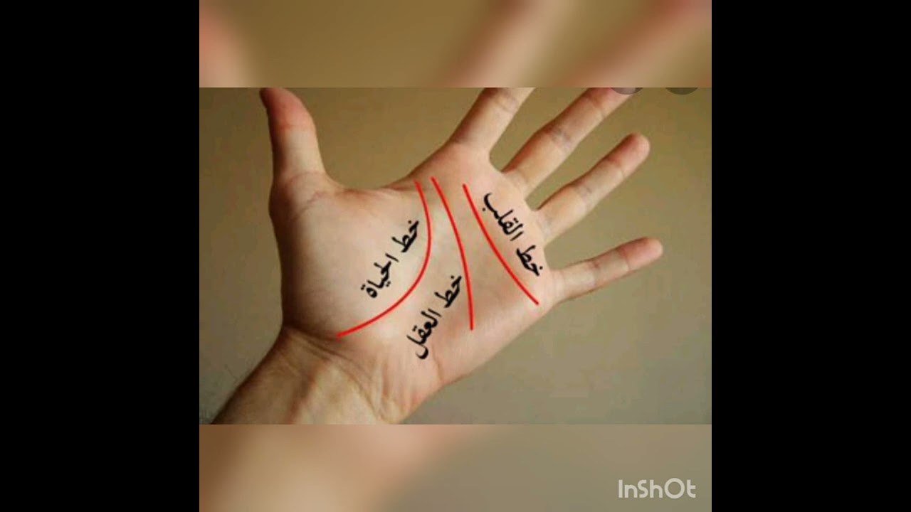 أصحاب الكف111 صفاتهم وتحذيرات لهم💞ربى كايزن