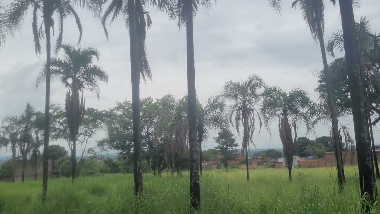 30 de janeiro de 2026