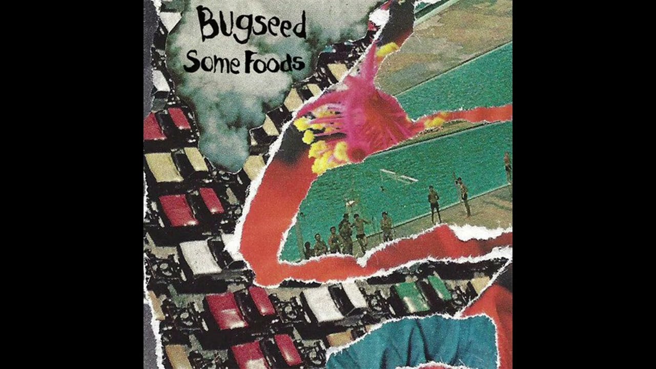 Bugseed - Some Foods (Spring Break Tapes/2014) [Full Album]