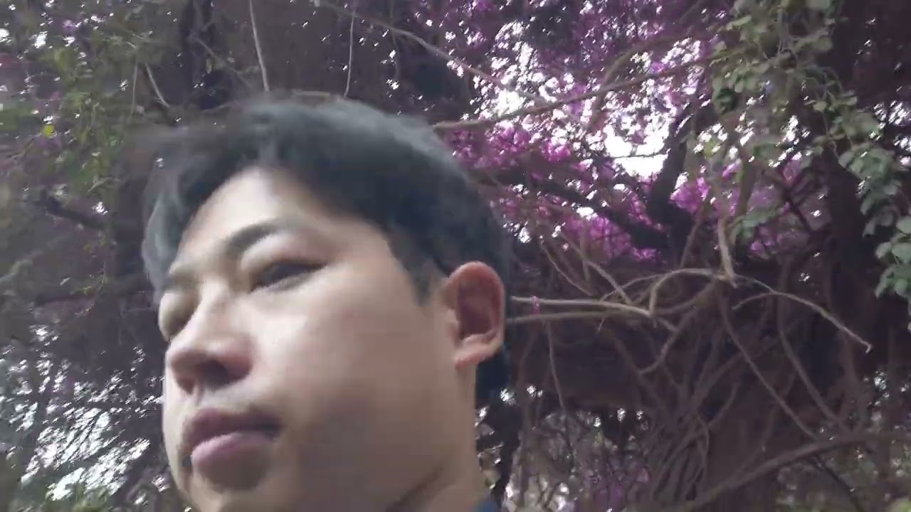 나이로비 여행 (암보셀리 소파 롯지)