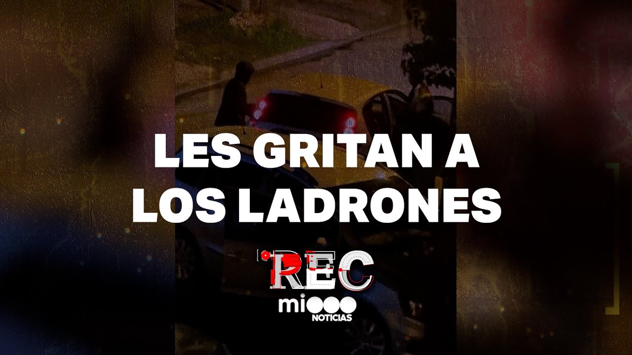 LES GRITAN A LOS LADRONES - PIÑAS EN EL BONDI - #REC