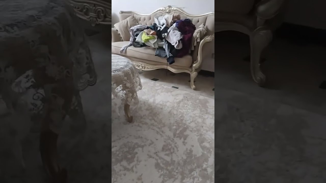 حصريا من شقة ام لافا