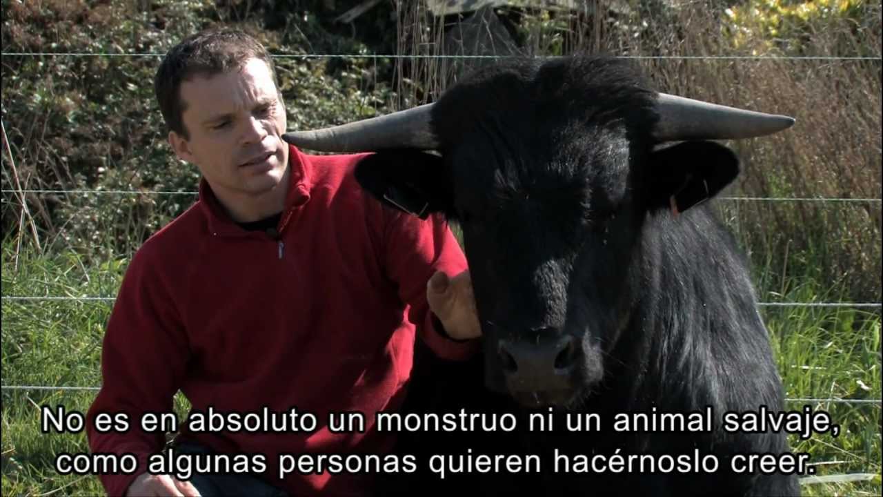 Fadjen - Pablo Knudsen - 2011 [SUBTÍTULOS ESPAÑOLES]
