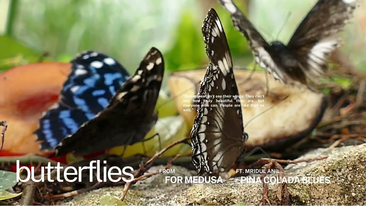 Pina Colada Blues - Butterflies (ft. Mridul Anil) |Abhiram Jitendra| For Medusa | Audio | Malayalam