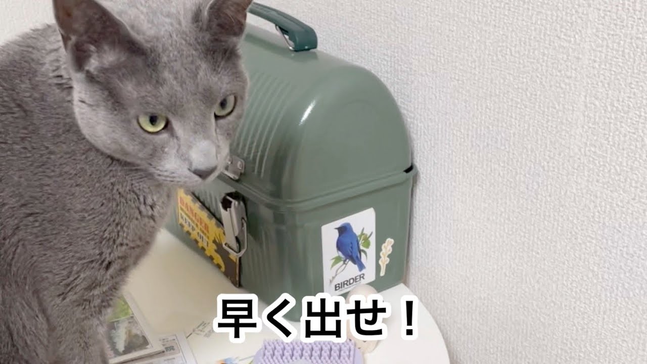 ときの愚痴