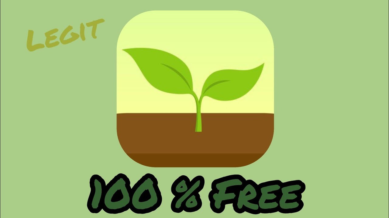 Forest Stay focused App Premium for Free 2022