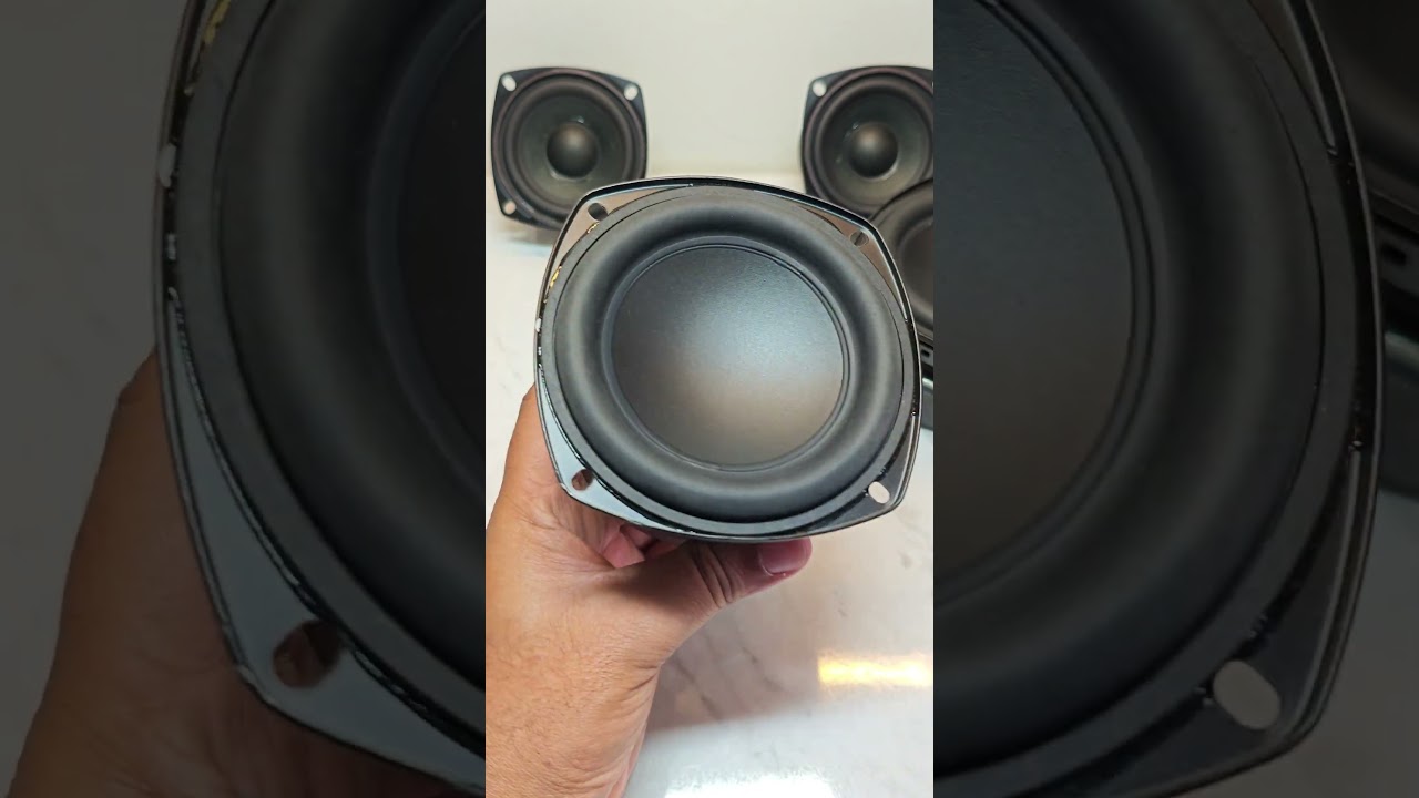 Best Speaker Selection