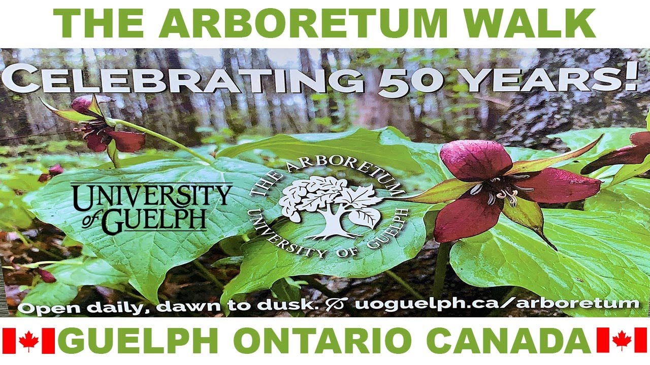 UNIVERSITY OF GUELPH ARBORETUM WALK
