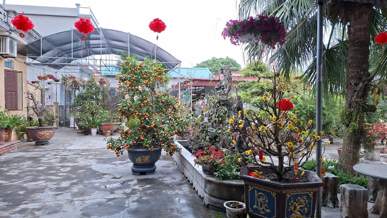 Cảnh nhà ngày 03 Tết 2026
