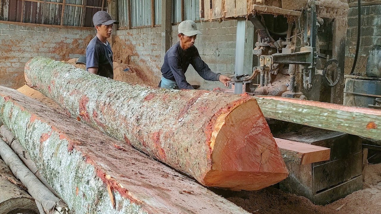 Rahasia di balik larisnya kayu bayur! Tak lepas dari keahlian pengrajin sawmill kayu tradisional
