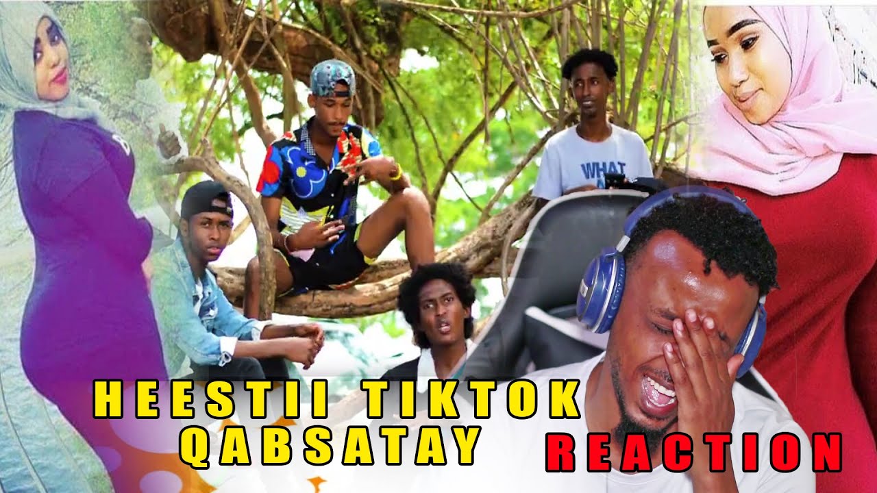 HEESTII TIK TOK QABSATAY CAAWO WAAN BAASHAALEENA # REACTION HASSAN SOYA CAR QOSOL ISKU CELI