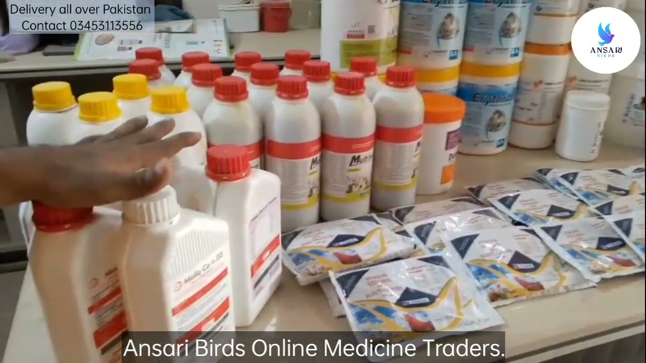 Ansari Birds Online Medicine Traders