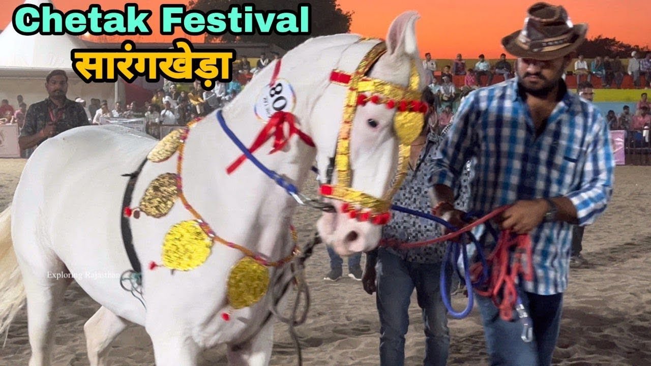 महारास्ट्र के ढोल पर सीकर राजस्थान की दुर्गा का डांस ॥dancing Horse