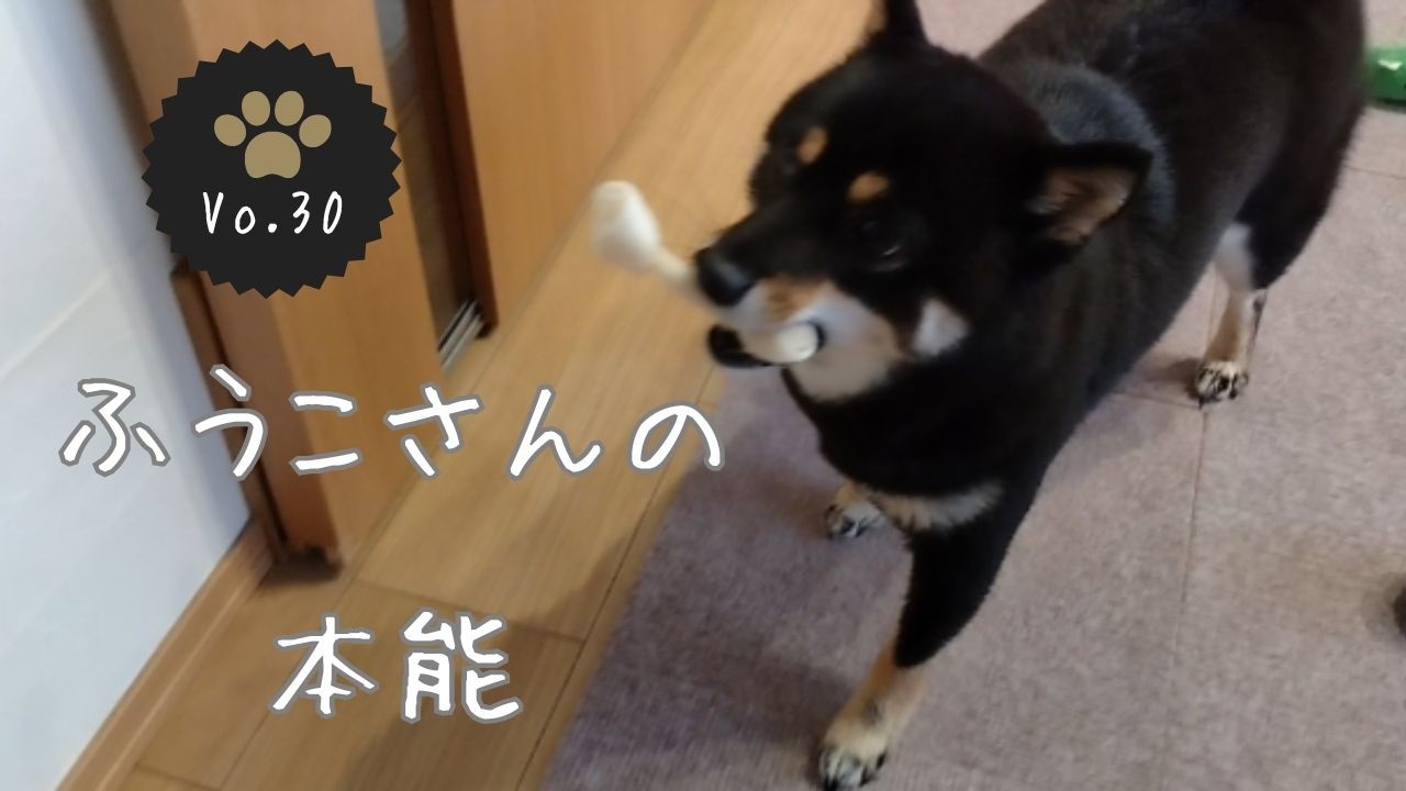 ふうこさんが垣間見せる本能とは