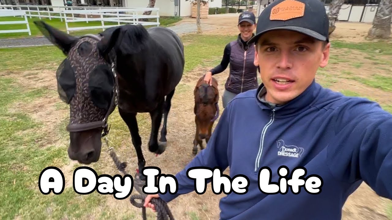This is what working with horses is like&hellip;