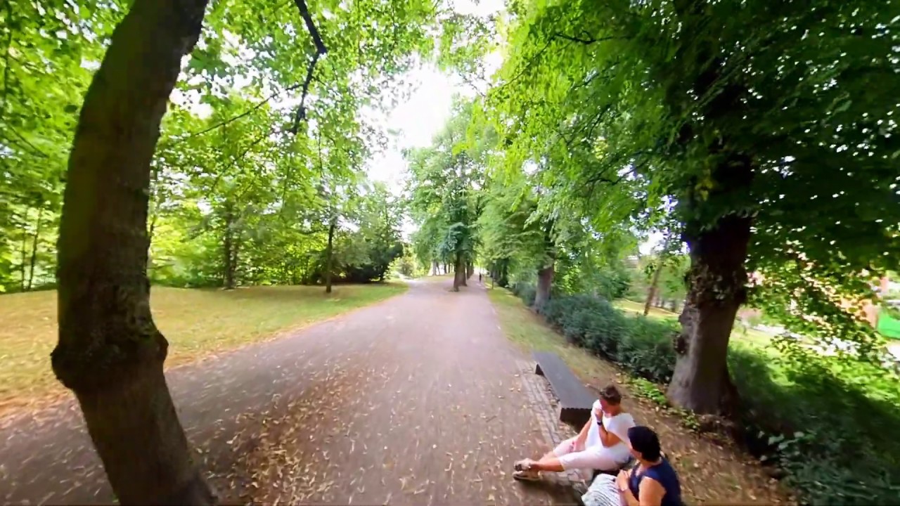 Walking track near University of Greifswald | Germany