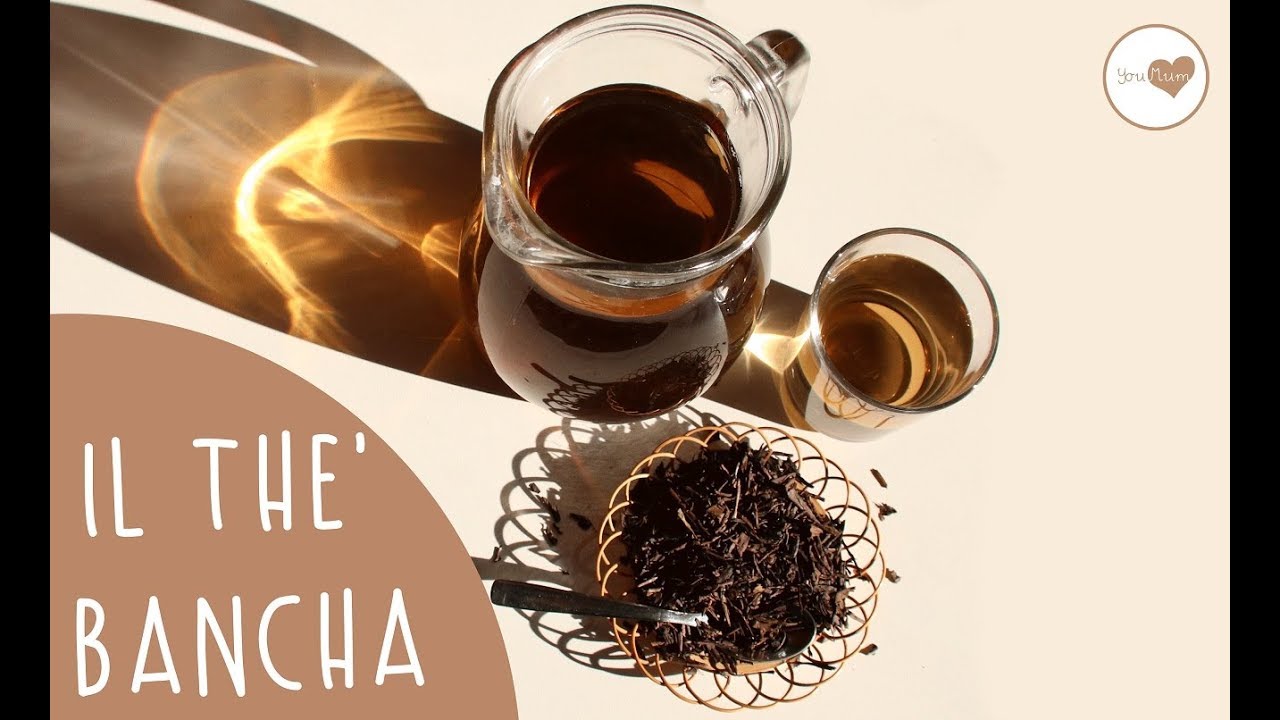 The Bancha, cosa &egrave; e come si prepara!