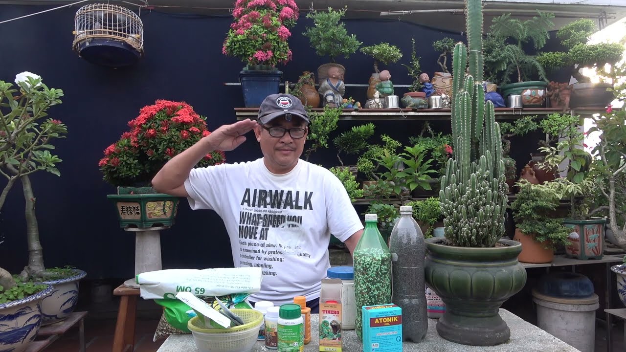 CÁCH PHÂN BIỆT PH.ÂN HỮU CƠ VÀ VÔ CƠ - CÁCH TƯỚI NƯỚC BÓN PH.ÂN PHUN TH.UỐC CÂY KIỂNG CHO PHÙ HỢP .