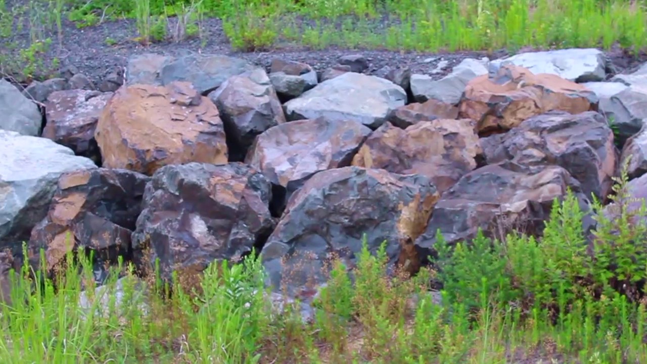 OFFICIAL BACKPACK PRODUCTIONS TAKE ON THE HARBOR