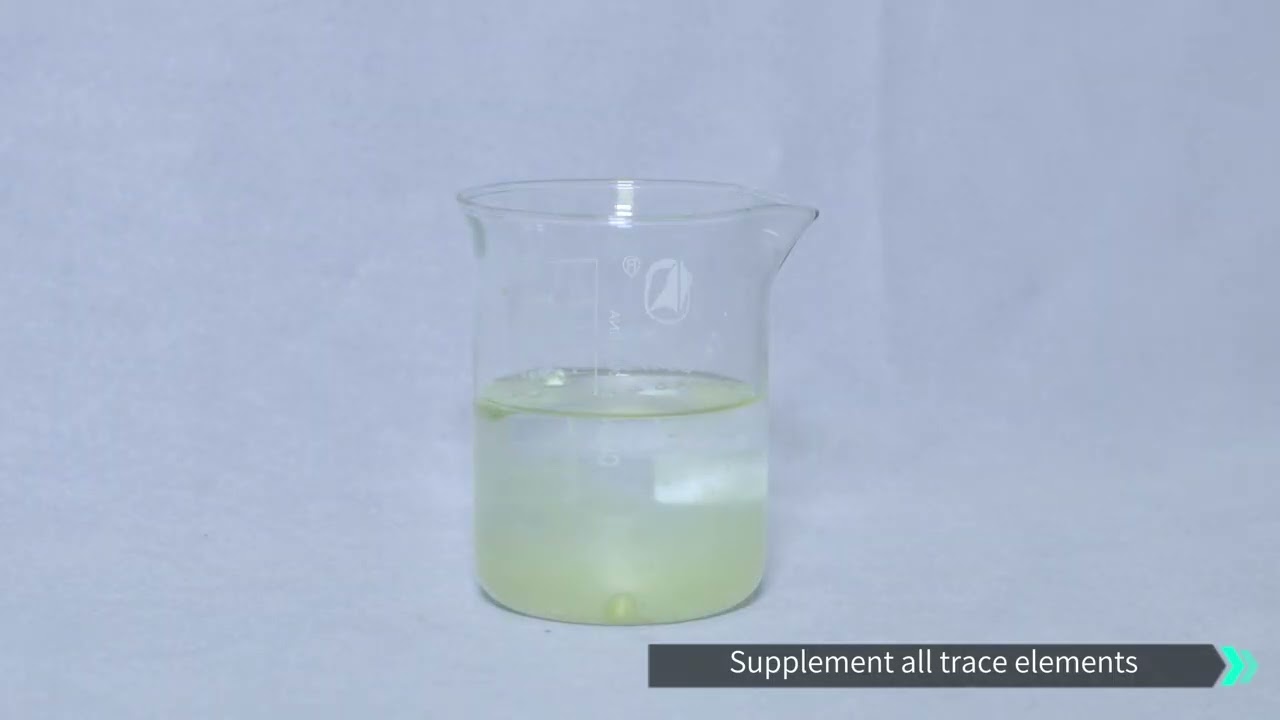 B Fe Mn Zn Mo Cu Fertilizer