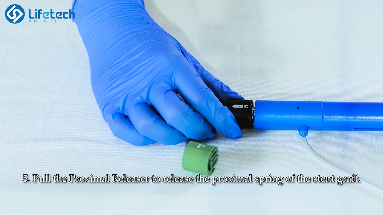 Ankura endoprotesis AAA sistema stent graft