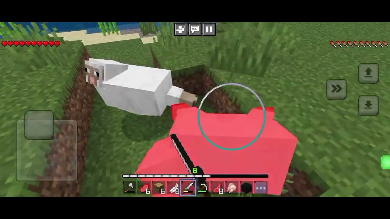 Minecraft part 10