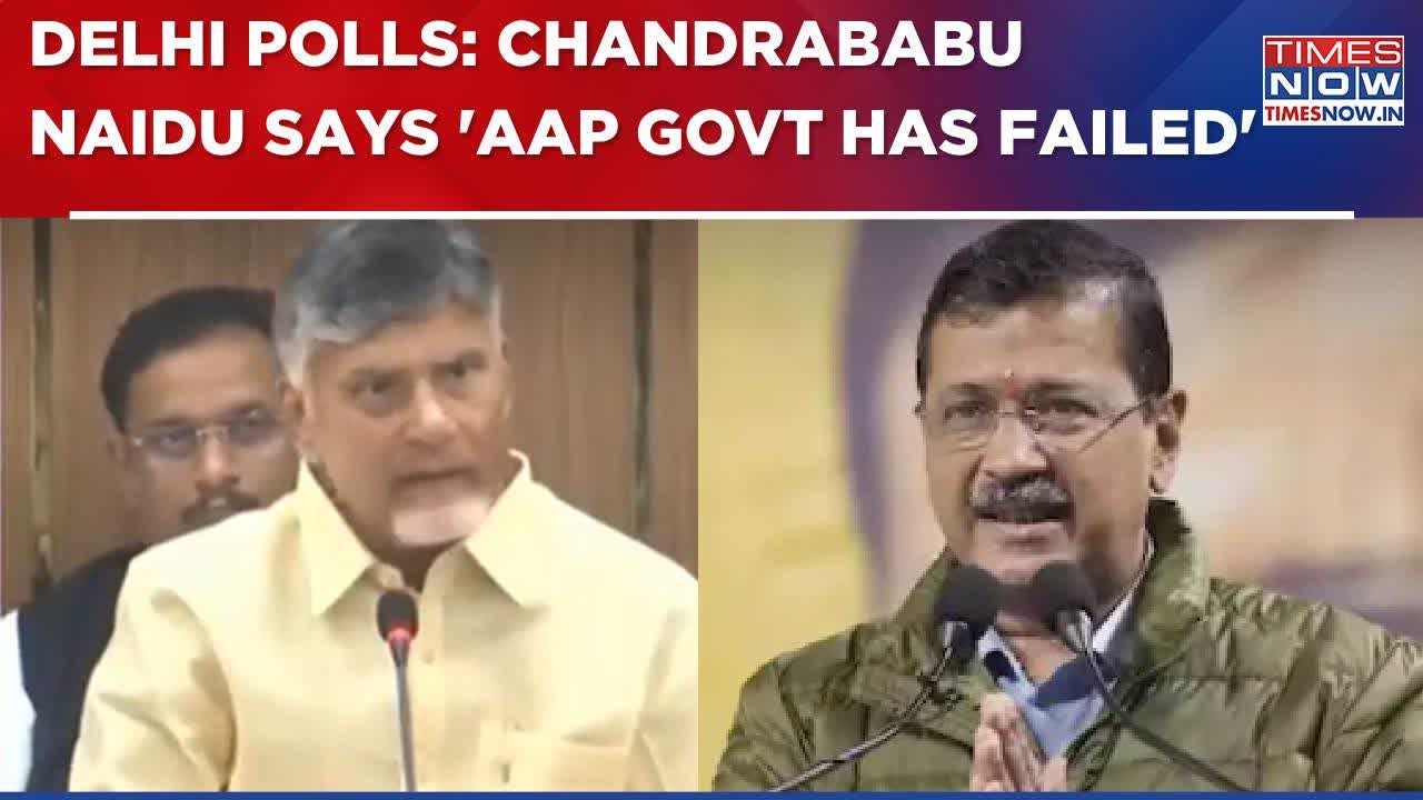 Delhi Election 2025: Andhra Pradesh CM Launches Scathing Attack On AAP, Arvind Kejriwal | WATCH