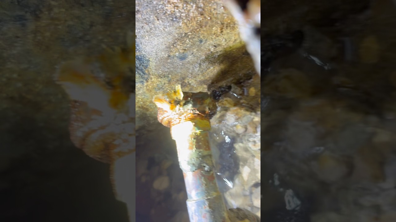 Flooded a store💦🫠 #splishsplash #water  #diy #waterpark #plumbing #copper #construction #flood