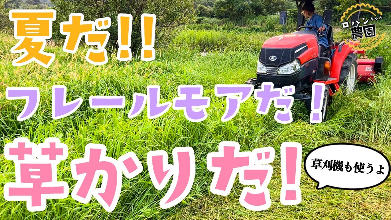 【草刈り】草刈機とフレールモアで雑草に負けない！！【耕作放棄地】