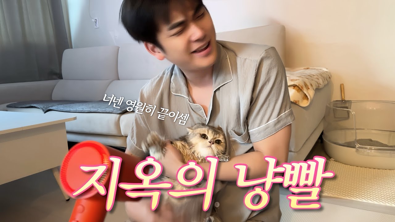 지옥의 냥빨데이