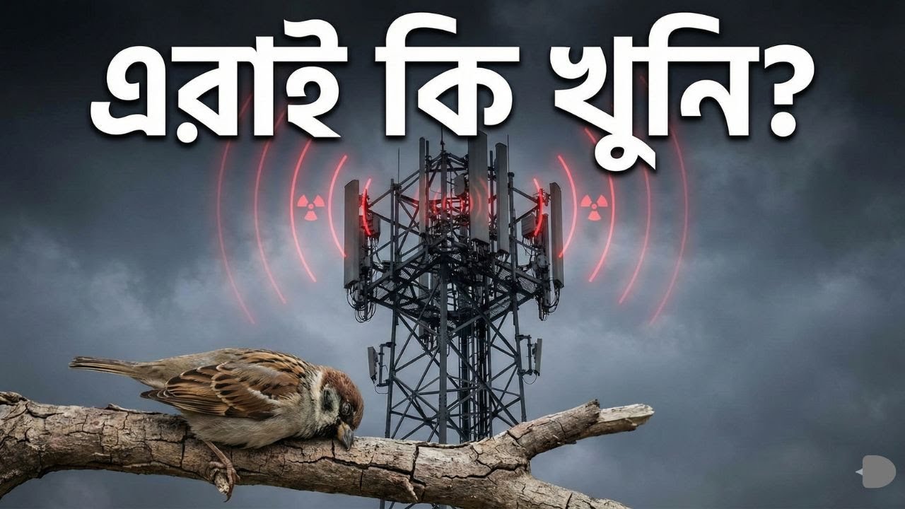 চড়ুই পাখি বিলুপ্তির দ্বারপ্রান্তে? অবিশ্বাস্য সত্য উন্মোচন