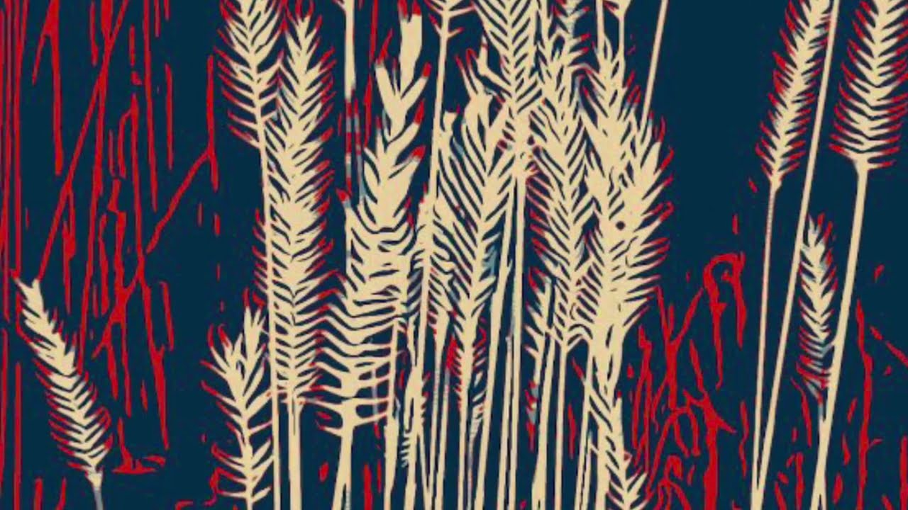 Wyoming Western Wheat Grass. Edgerton, Wyoming. Music Credit goes to, Staffan Carlen. TT T Shirts. 