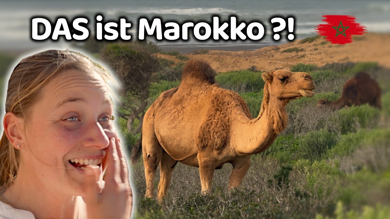So haben wir Marokko nicht erwartet… 🇲🇦 | Road Story