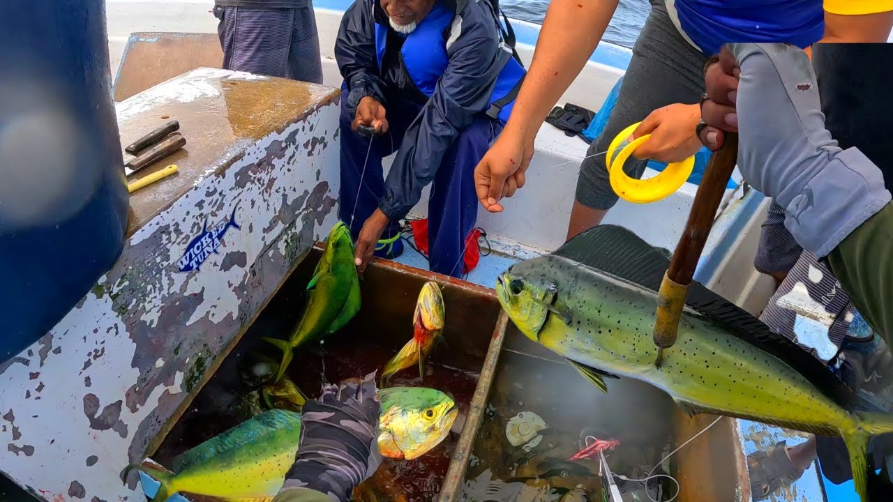 DEEPSEA HANDLINE FISHING IN THE CARIBBEAN! Fishing The Rig & Catching Mahi Mahi (Dolphin Fish)