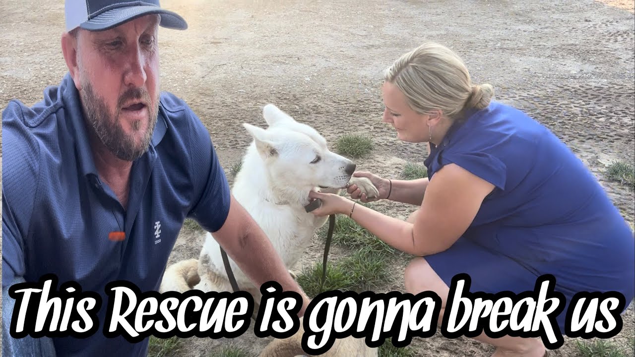 The Hardest Rescue We’ve Ever Tried To Help