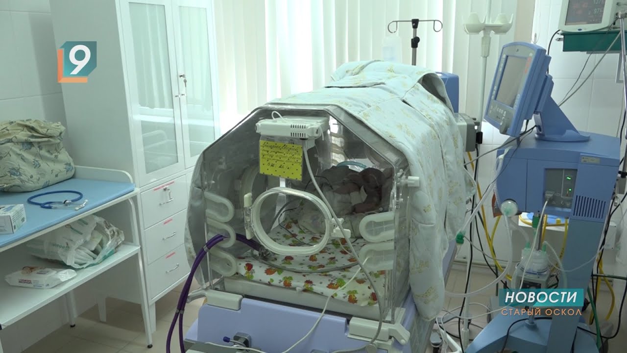 Место, где за жизнь борются 