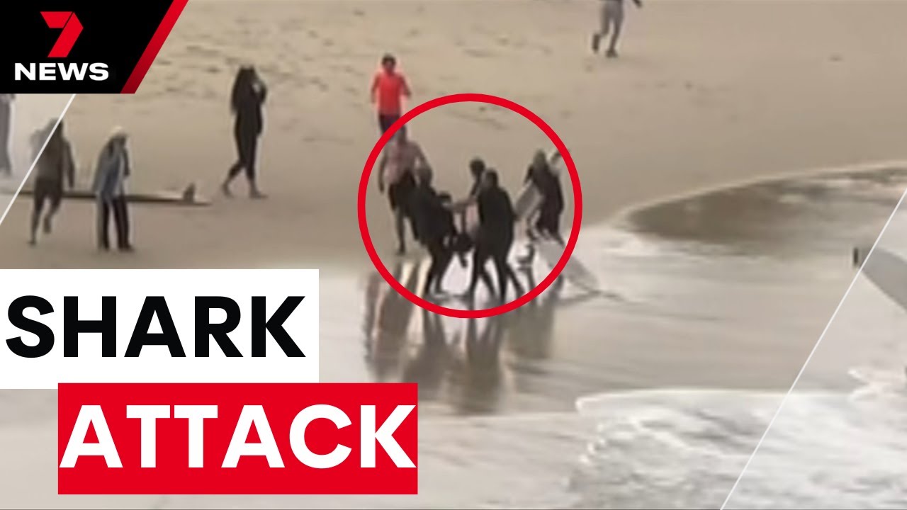 Rescuers of boy mauled by shark at Cabarita Beach talk about their hero actions | 7NEWS