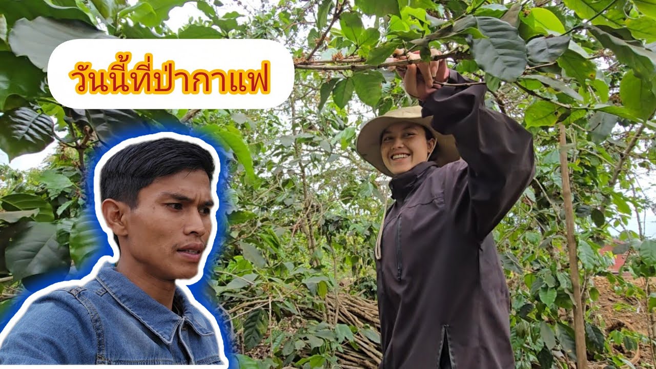 พาน้องน้องบองช่วยงานแม่ยายามว่าง 20 มีนาคม ค.ศ. 2026