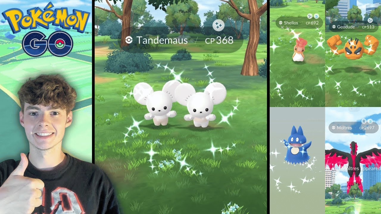 2x Shiny Tandemaus Caught! Shundo Munchlax Hunt! 2x Shiny Galarian Bird Checks, Hundos, and More!