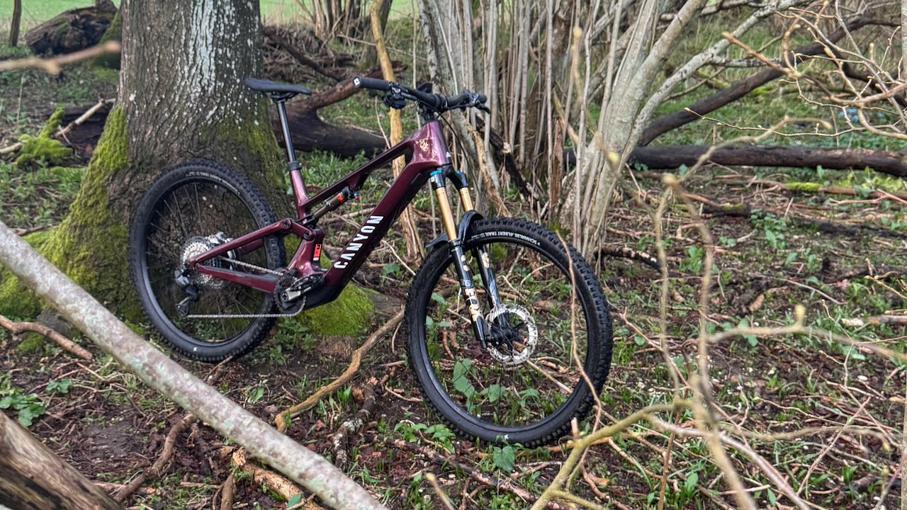 2024 Canyon Neuron:ONfly CF7 Carbon 29er Light EMTB Bike Check