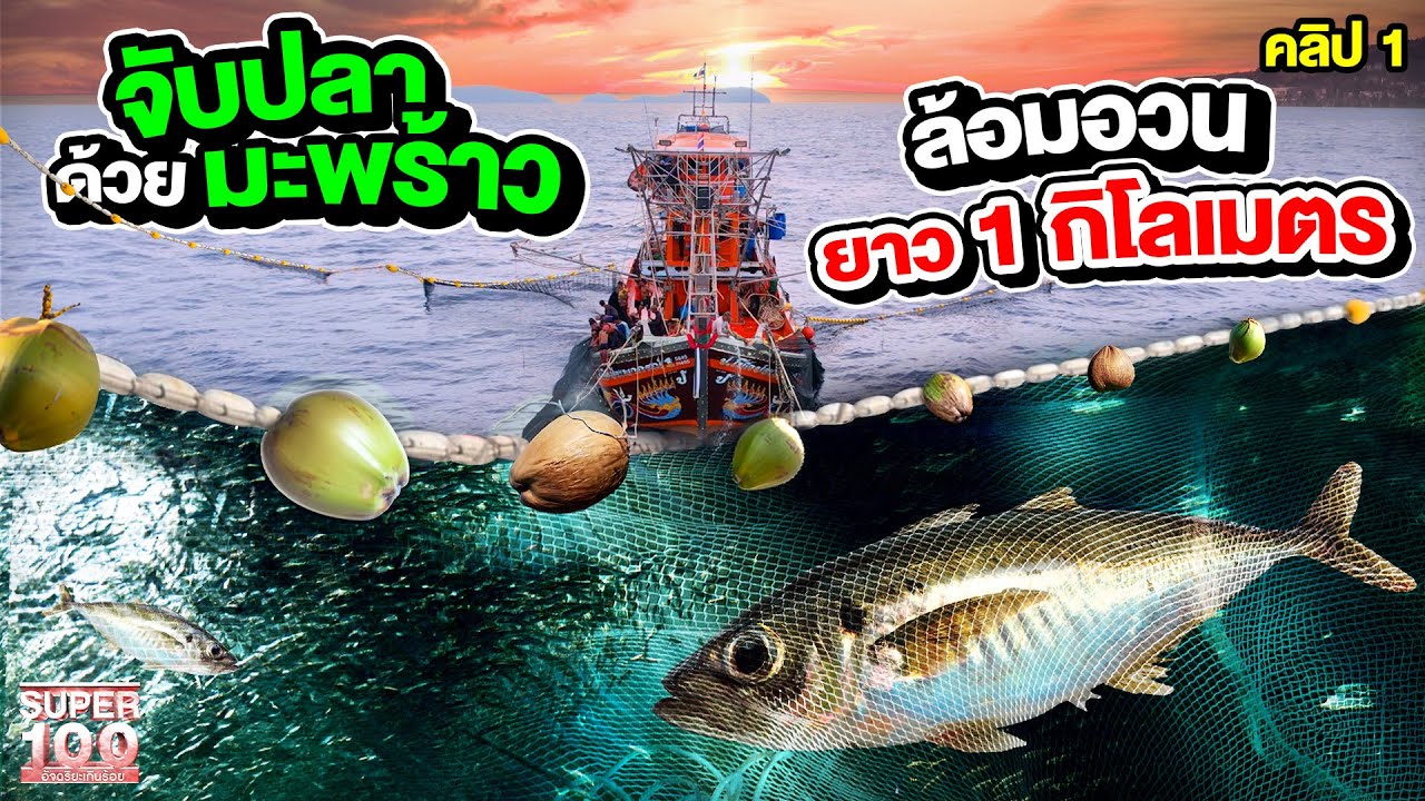 คลิป 1 | หัวหน้าที่ดี ดูแลลูกน้องกว่า 50 ชีวิต ! #ไต๋บอล ลงเรือจับปลาด้วยมะพร้าว | SUPER100
