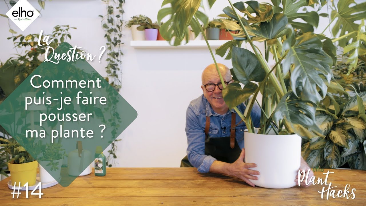 elho plant hack #15 - comment puis-je faire pousser ma plante? (french subtitles)