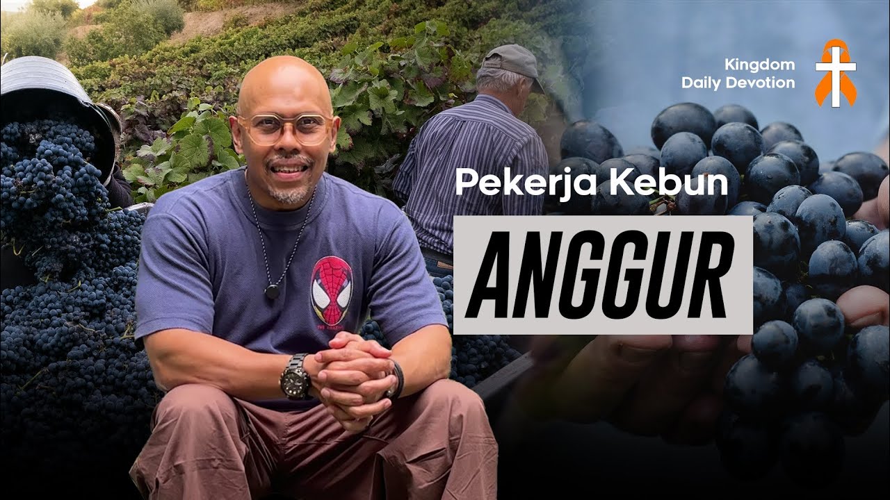 PEKERJA KEBUN ANGGUR - #PLEASESHARE 