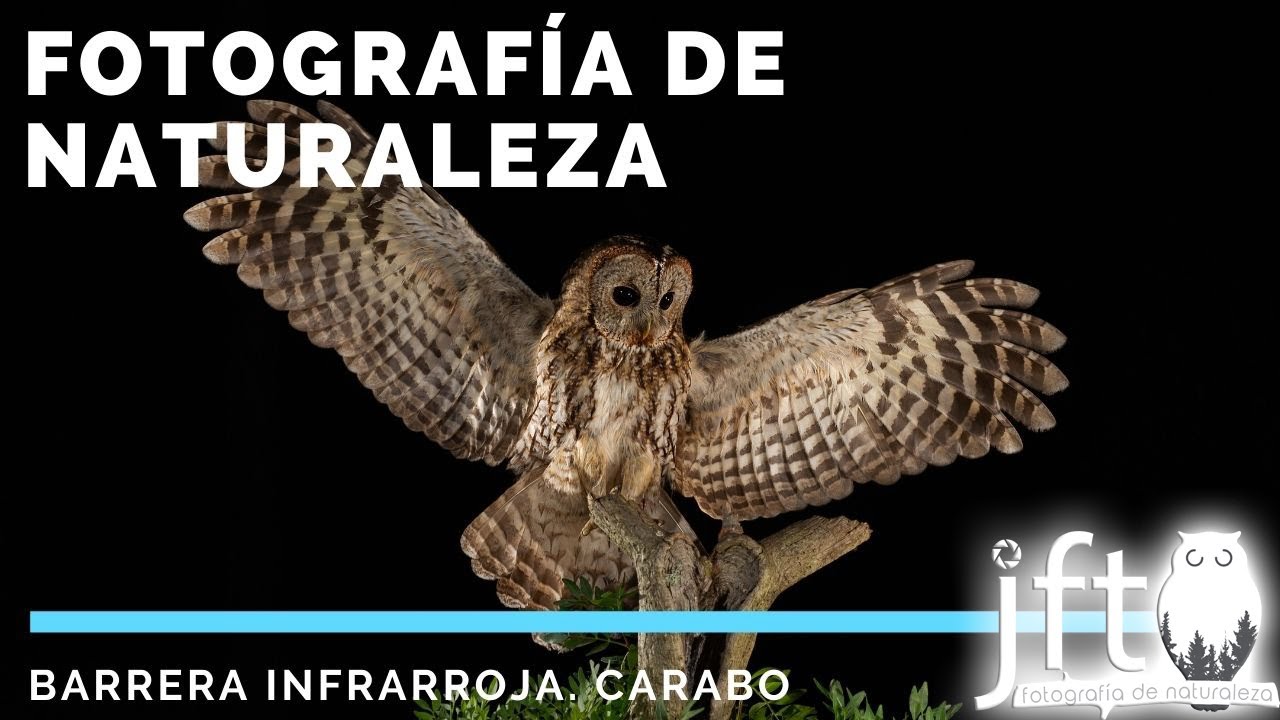 📸  FOTOGRAFIA con BARRERA INFRARROJA 🌍 CARABO. 4K