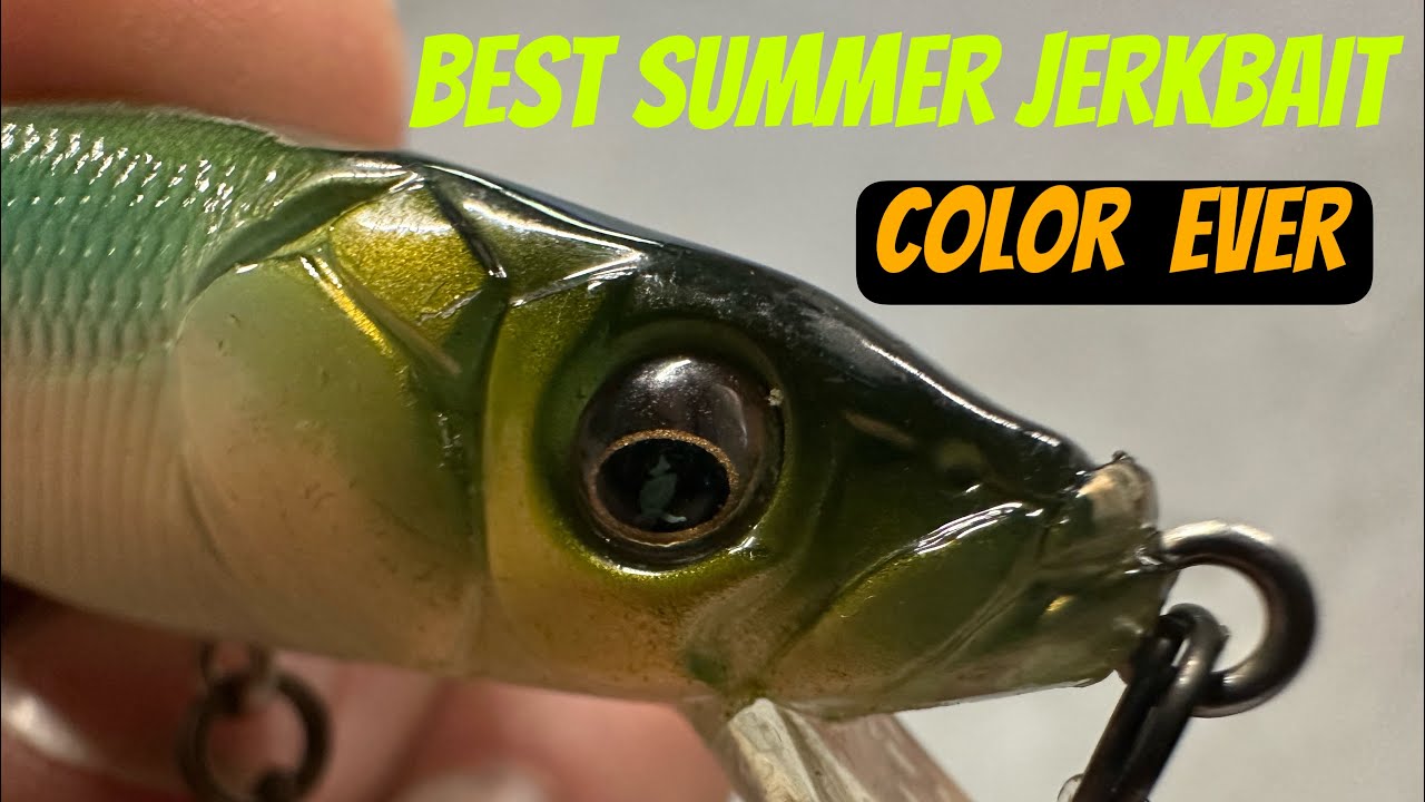 Summer Bass Can&rsquo;t Resist THIS Jerkbait Color&hellip;