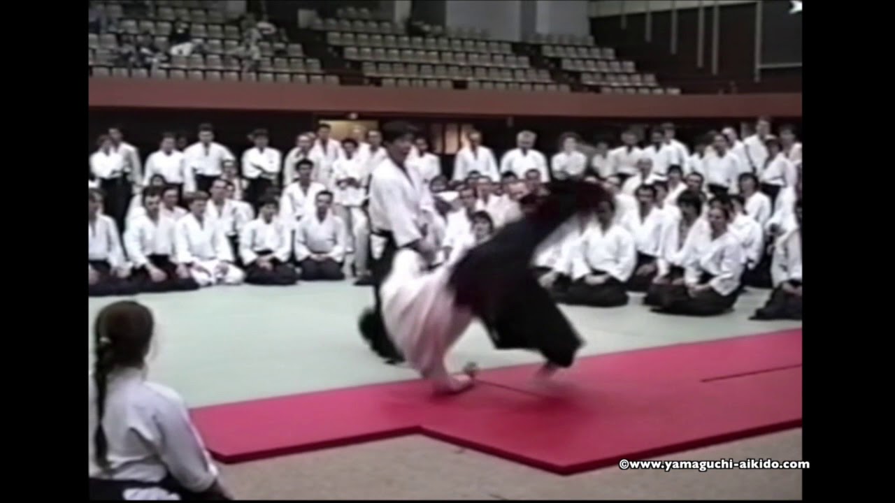 1990 Yamaguchi Seigo sensei Stages à Paris