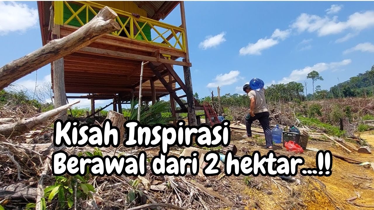 Kisah awal membuka kebun dimulai dari 2 hektar dulu