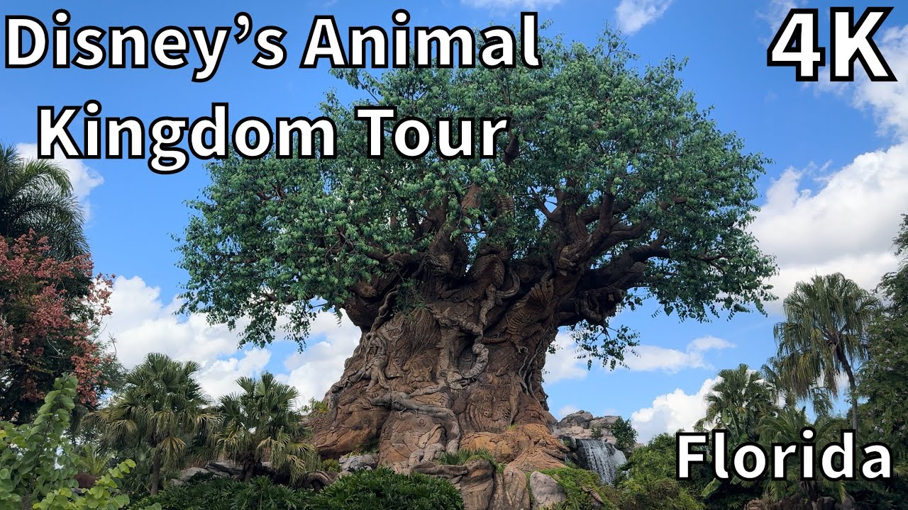 Disney’s Animal Kingdom Theme Park Tour - Bay Lake, Florida - USA [4K]