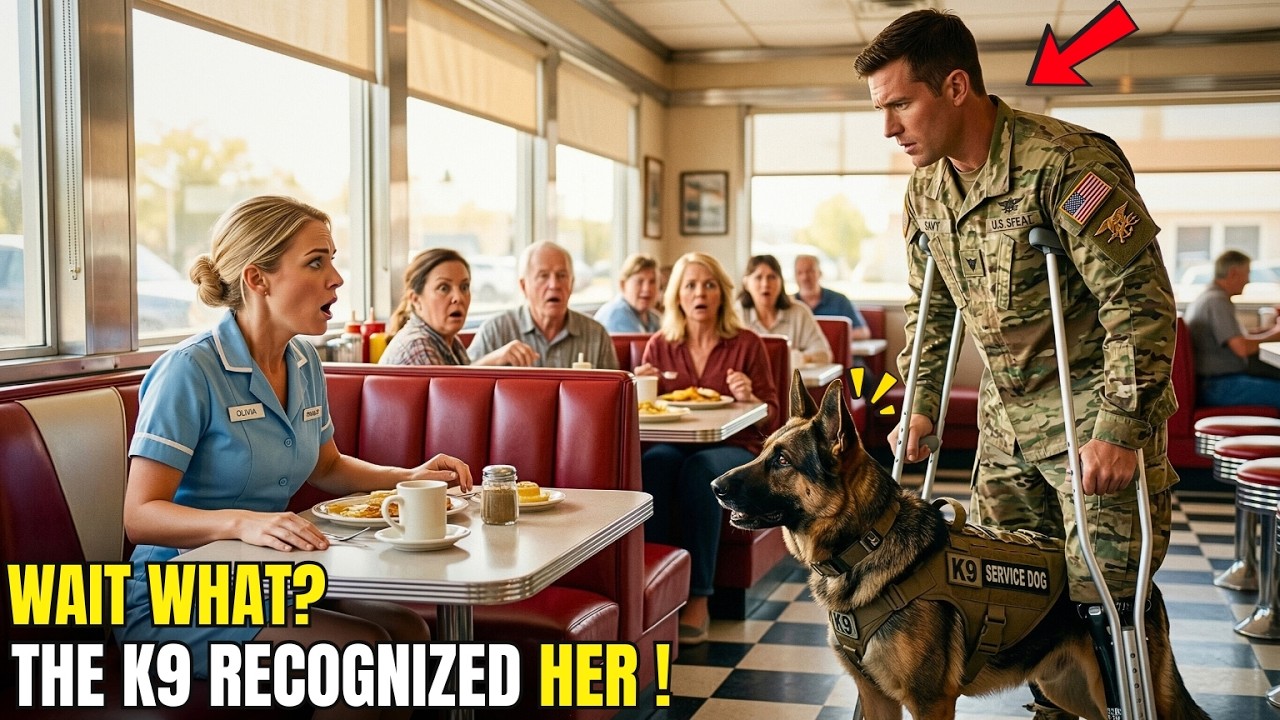 “Can I Sit Here?” Disabled Navy SEAL Asked a Waitress — Then His K9 Froze the Entire Diner